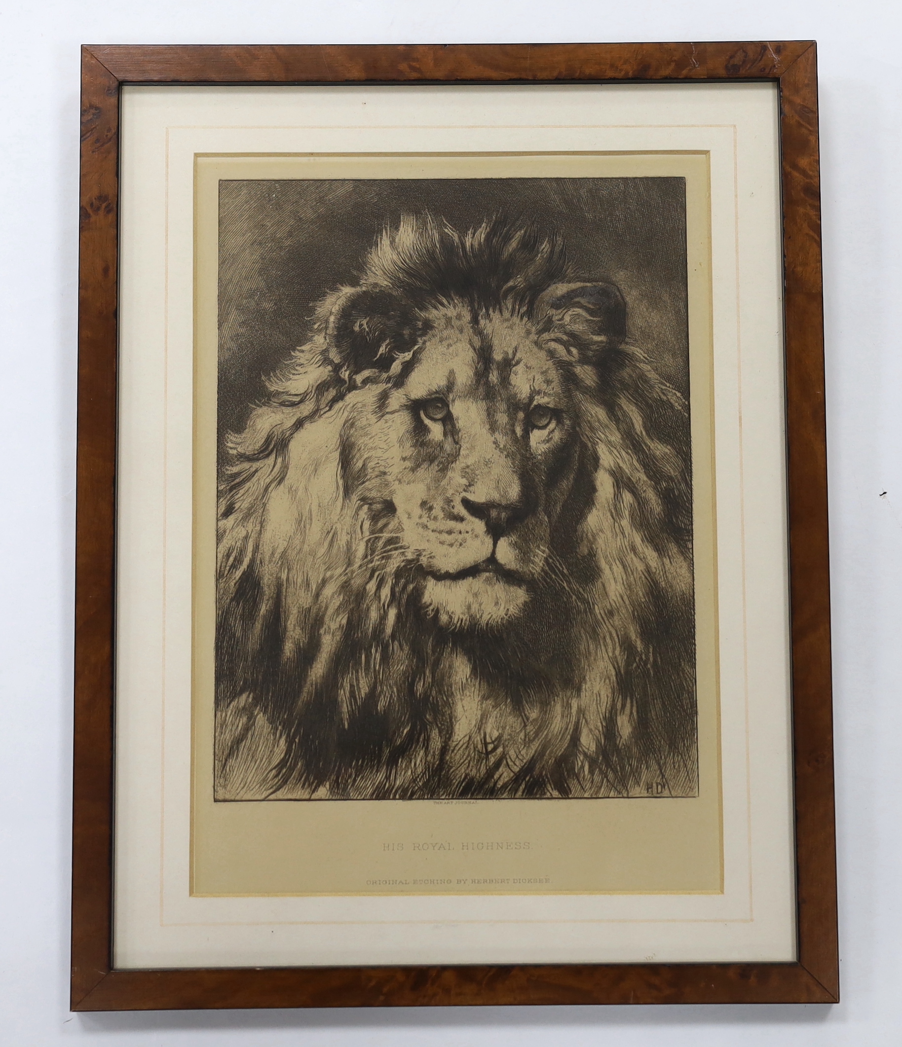 Herbert Dicksee (1862-1942), etching, 'His Royal Highness', 28 x 19cm